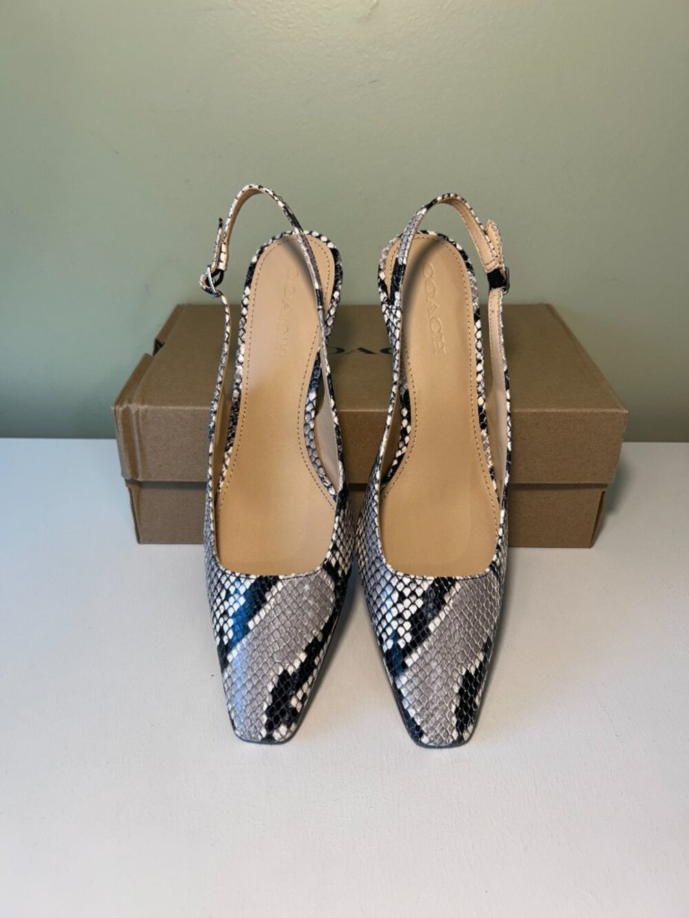 Coach Women's Slingback Heel With Snake Print